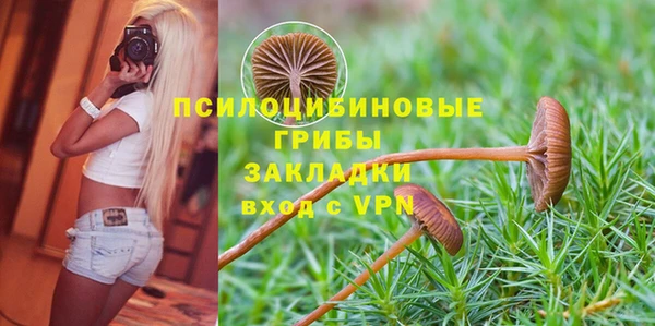 spice Магас