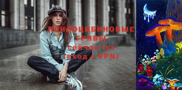 шишки Дмитриев