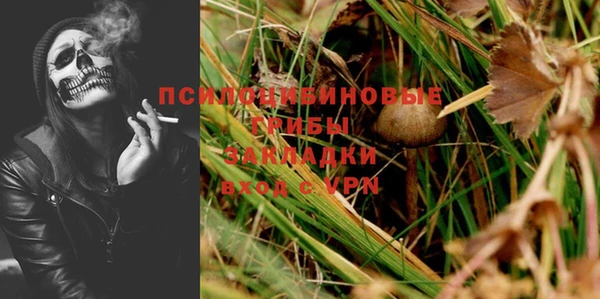 шишки Дмитриев