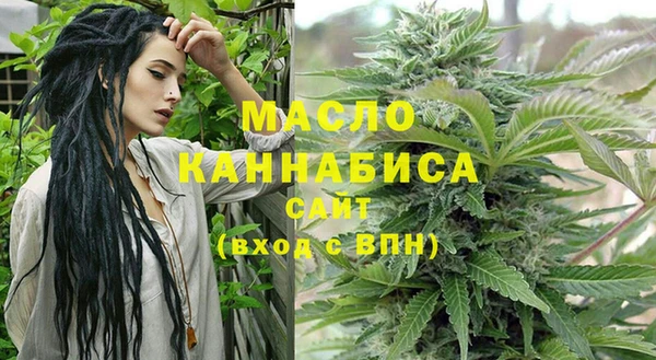 шишки Дмитриев