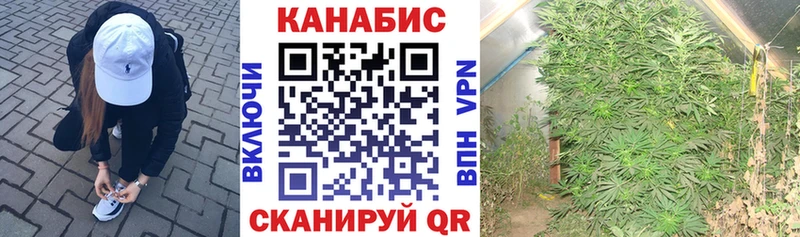 Бошки Шишки план  дарк нет какой сайт  Жигулёвск 